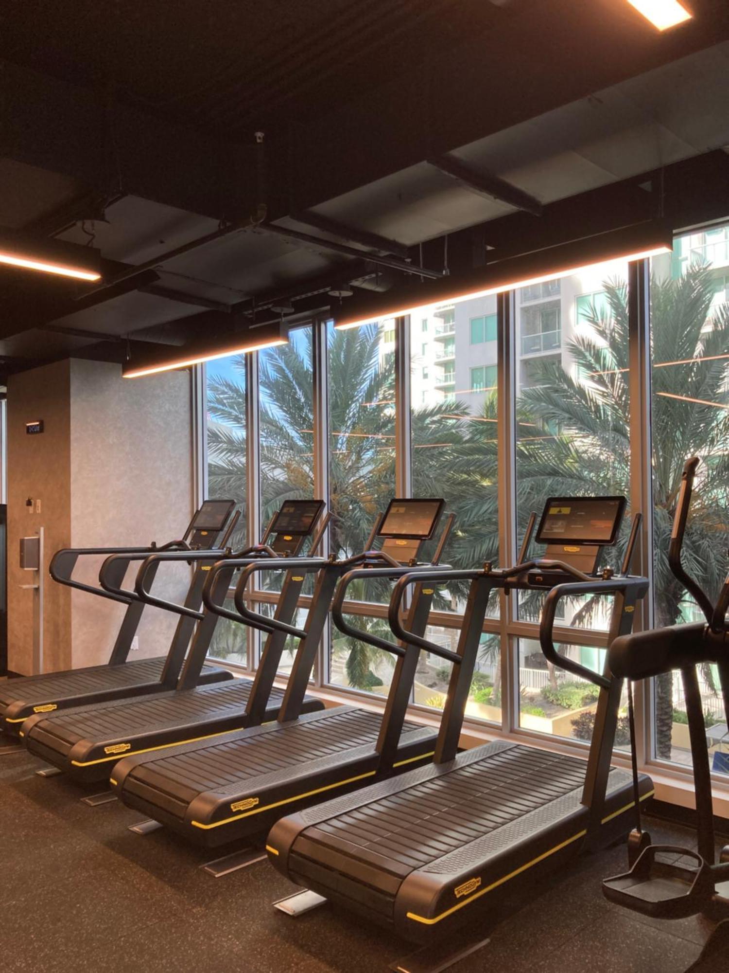 Brand New Modern 1 Bedroom Unit Downtown Miami Dış mekan fotoğraf